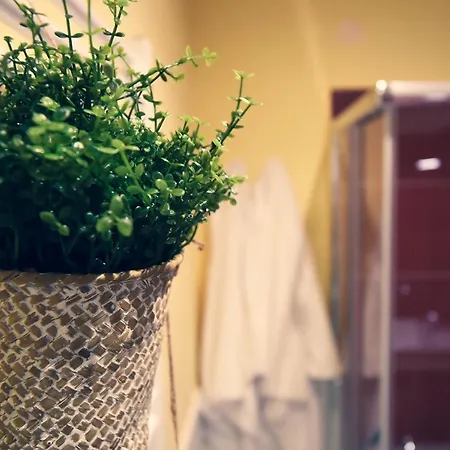 לינה וארוחת בוקר Kapsott ביצ'לייה