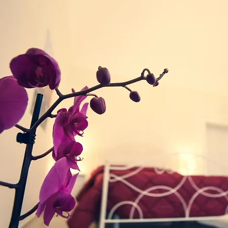 Bed & Breakfast Kapsott 2*