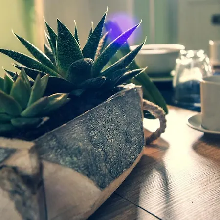 Kapsott Nocleg ze śniadaniem Bisceglie