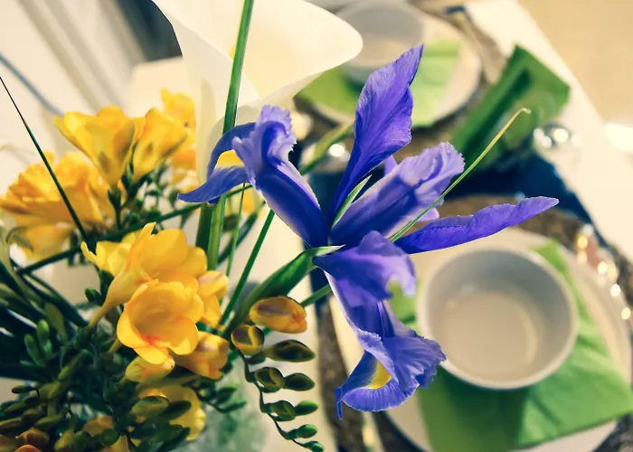 Oda ve Kahvaltı Kapsott