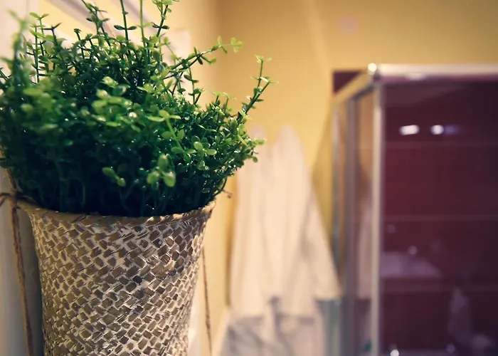 Oda ve Kahvaltı Kapsott Bisceglie