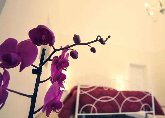 Bed & Breakfast Kapsott 3*